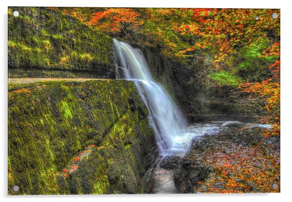 Autumn waterfalls Acrylic by Leighton Collins