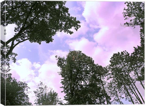 2190-clouds in the forest Canvas Print by elvira ladocki