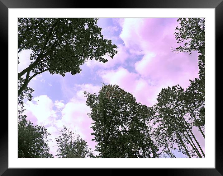 2190-clouds in the forest Framed Mounted Print by elvira ladocki