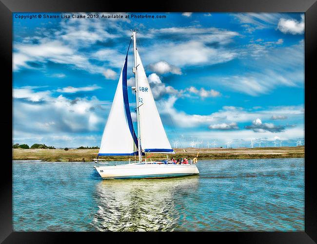 Summer sailing Framed Print by Sharon Lisa Clarke