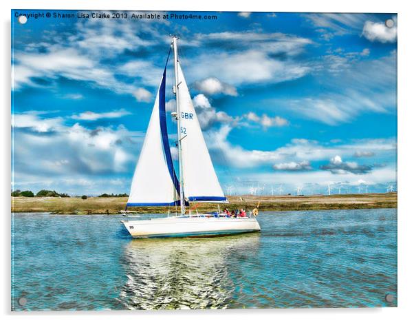 Summer sailing Acrylic by Sharon Lisa Clarke