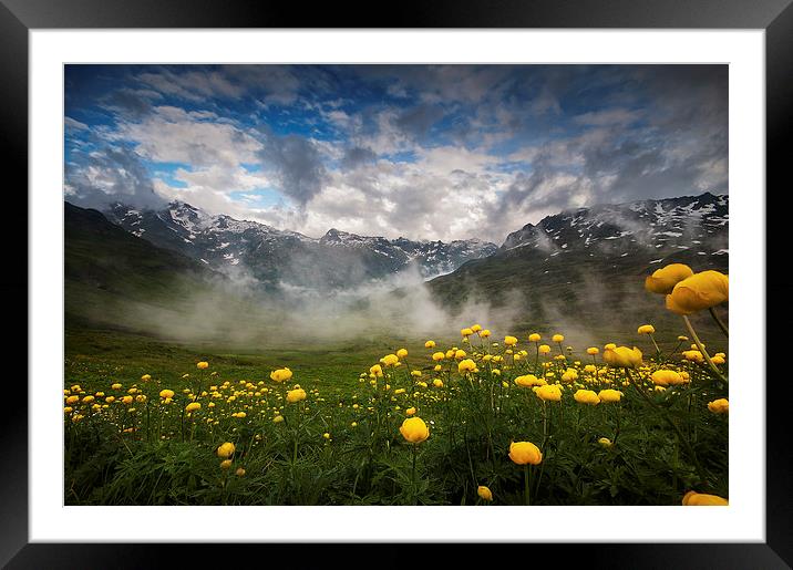 Alpine summer landscape Framed Mounted Print by Creative Photography Wales