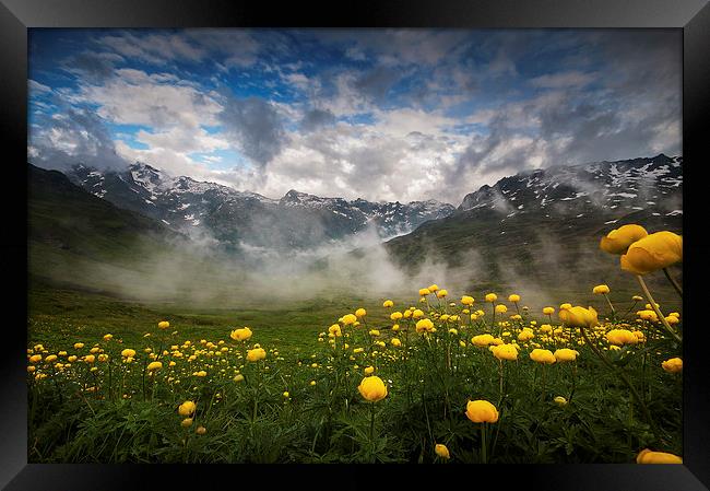 Alpine summer landscape Framed Print by Creative Photography Wales