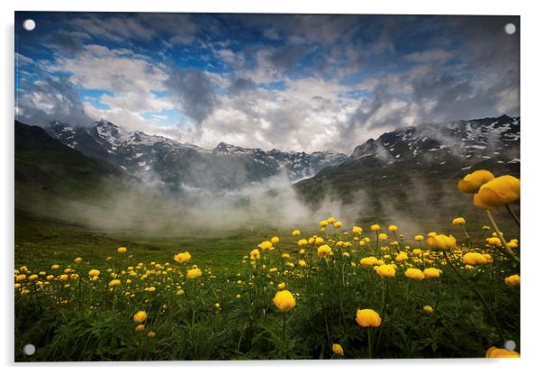 Alpine summer landscape Acrylic by Creative Photography Wales