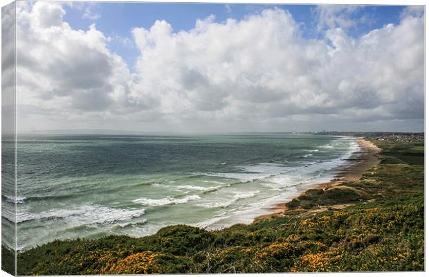 Bournemouth Bay from Hengistbury Head, Dorset Canvas Print by Diane Griffiths