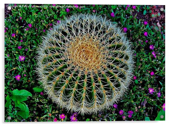 Cactus Acrylic by Paula J James