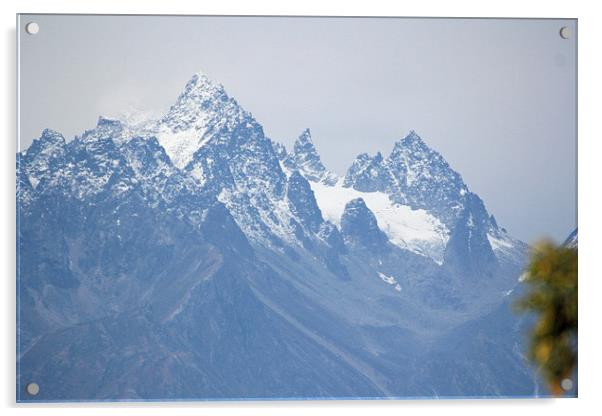 Mount McKinley Acrylic by Martyn Bennett