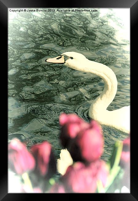 Snakelike Framed Print by Jasna Buncic