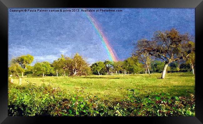 Part of a rainbow! Framed Print by Paula Palmer canvas