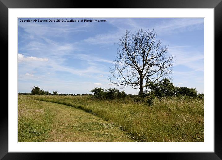 Tree Gosbecks Fields Framed Mounted Print by Steven Dale