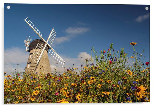 Whitburn Windmill Acrylic by Ray Pritchard