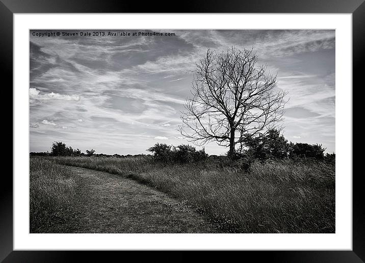 Archaeological Park Colchester Framed Mounted Print by Steven Dale