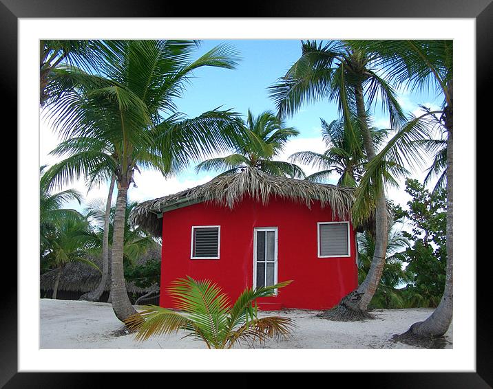 Little Red Hut on Catalina Island Framed Mounted Print by Ryan Harris