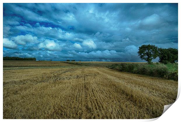 after the harvest Print by Jo Beerens