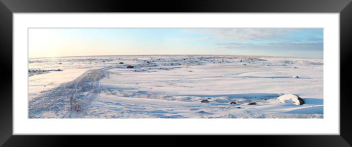 Tundra Panorama Canada Framed Mounted Print by Carole-Anne Fooks