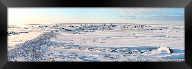 Tundra Panorama Canada Framed Print by Carole-Anne Fooks