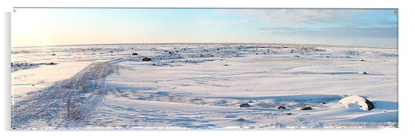 Tundra Panorama Canada Acrylic by Carole-Anne Fooks