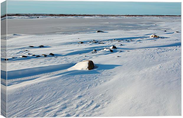 Early Morning on the Tundra Canada Canvas Print by Carole-Anne Fooks