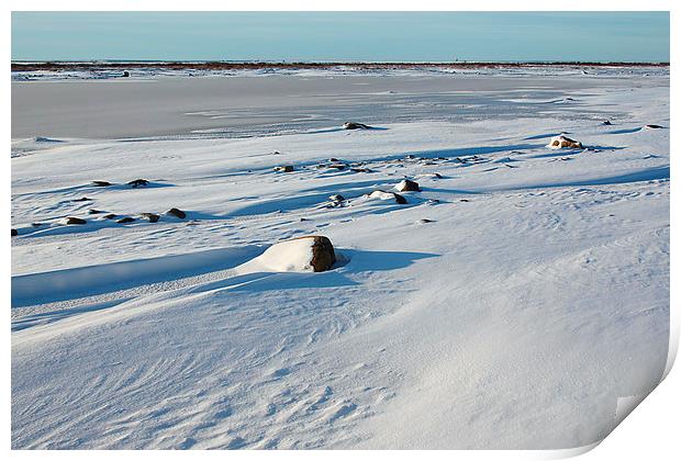 Early Morning on the Tundra Canada Print by Carole-Anne Fooks