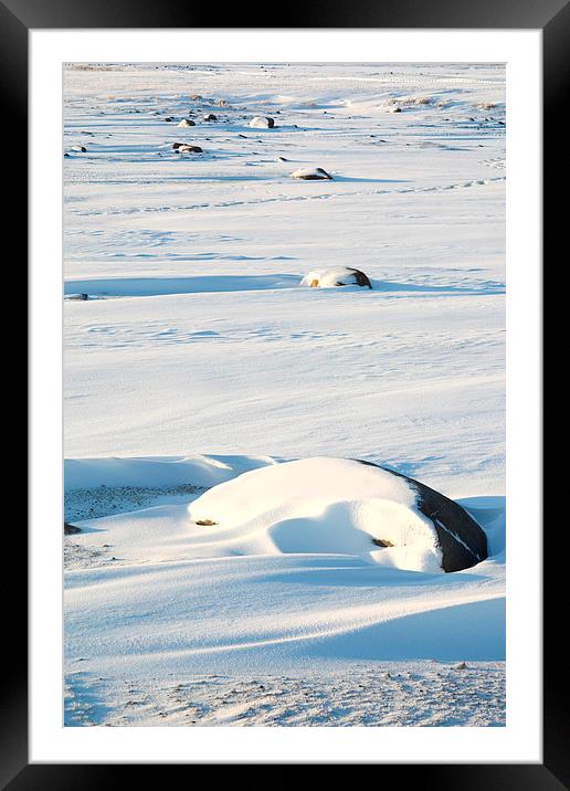 Early Morning on the Tundra Canada Framed Mounted Print by Carole-Anne Fooks