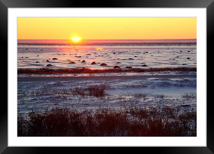 Sunrise on the Tundra Canada Framed Mounted Print by Carole-Anne Fooks