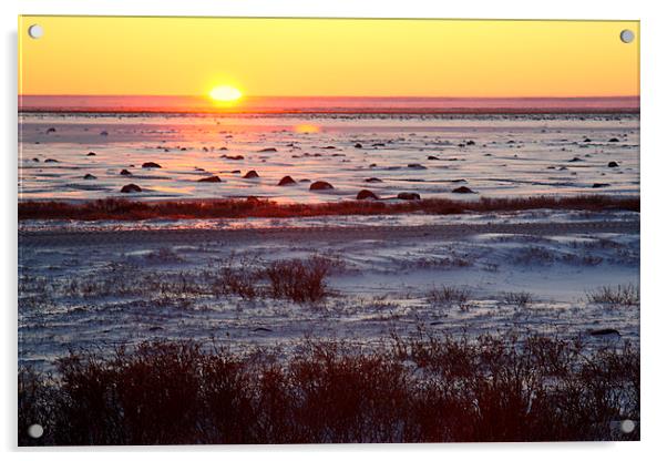 Sunrise on the Tundra Canada Acrylic by Carole-Anne Fooks