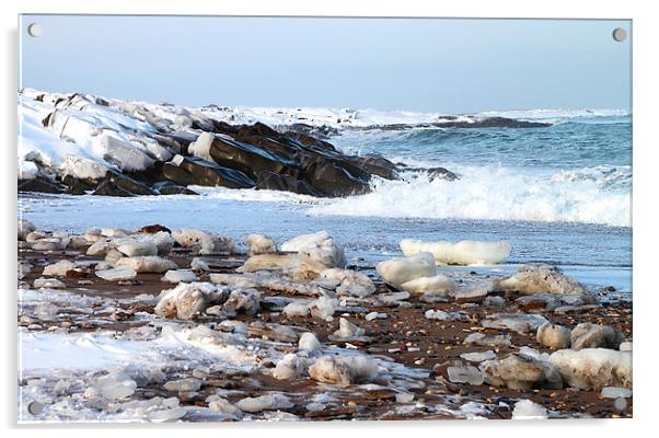 Hudson Bay Shoreline Canada Acrylic by Carole-Anne Fooks