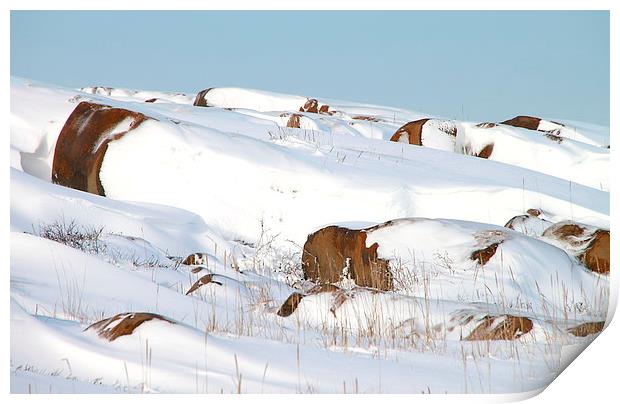 Snow Blanketed Rocks Hudson Bay Canada Print by Carole-Anne Fooks