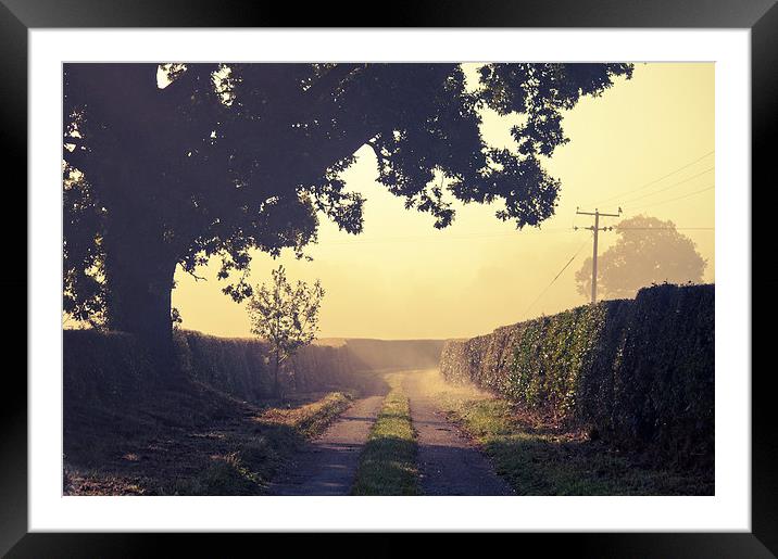 Round The Bend Framed Mounted Print by Dawn Cox