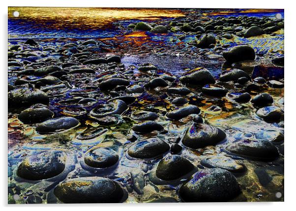 Purple Pebbles Acrylic by Pete Moyes