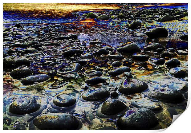 Purple Pebbles Print by Pete Moyes