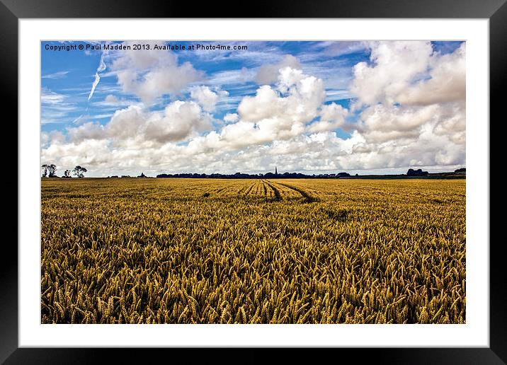Lancashire Meadow Framed Mounted Print by Paul Madden