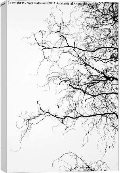 Winter trees Canvas Print by Chiara Cattaruzzi