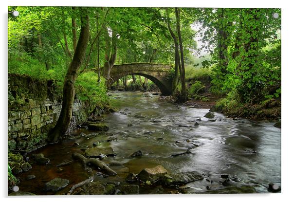 River Rivelin & Roscoe Bridge Acrylic by Darren Galpin