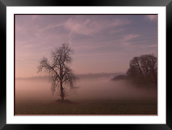 Misty Dawn Framed Mounted Print by Vivienne Barker