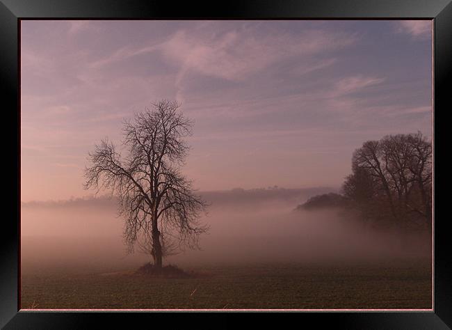 Misty Dawn Framed Print by Vivienne Barker