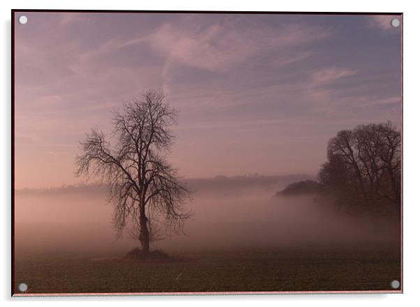 Misty Dawn Acrylic by Vivienne Barker