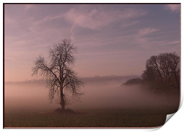 Misty Dawn Print by Vivienne Barker