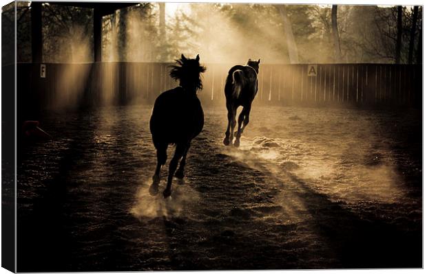 the chase Canvas Print by Jo Beerens
