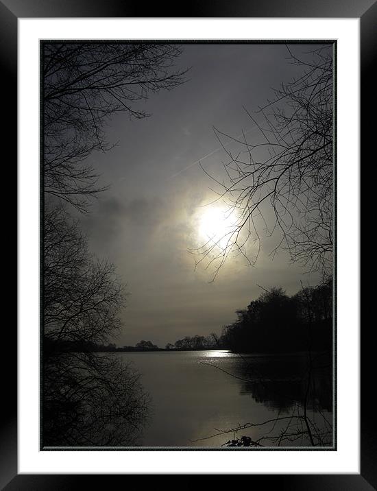 A lake in Stoke Framed Mounted Print by Vivienne Barker
