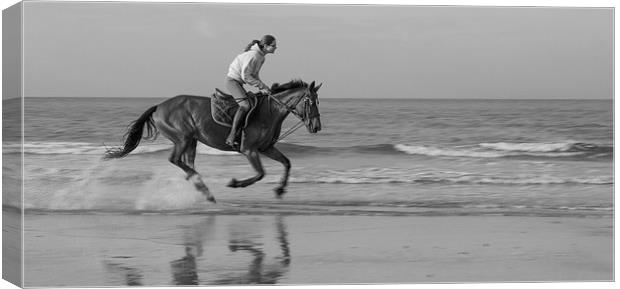 Galloping horse on a beach Canvas Print by Ian Jones