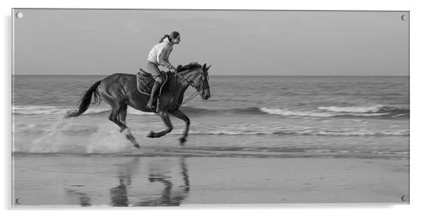 Galloping horse on a beach Acrylic by Ian Jones
