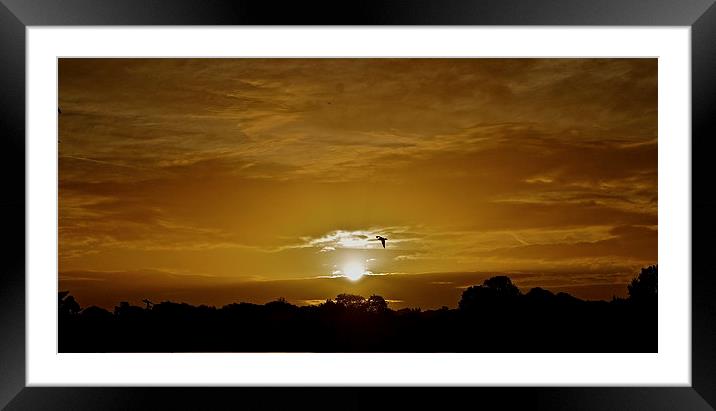 Sunrise Framed Mounted Print by Sue Bottomley