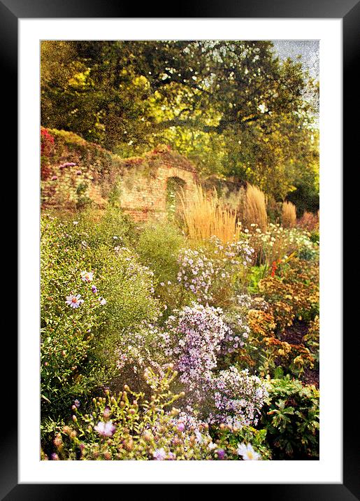Step into the Garden Framed Mounted Print by Dawn Cox