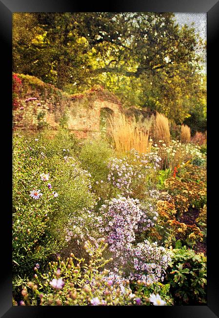 Step into the Garden Framed Print by Dawn Cox