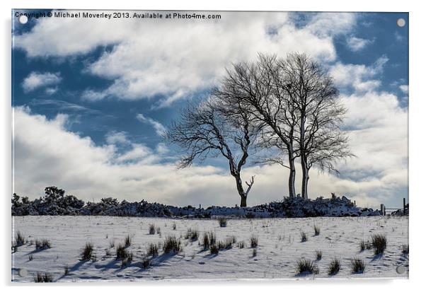 Snowy Lone Tree Acrylic by Michael Moverley