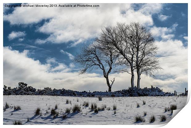 Snowy Lone Tree Print by Michael Moverley