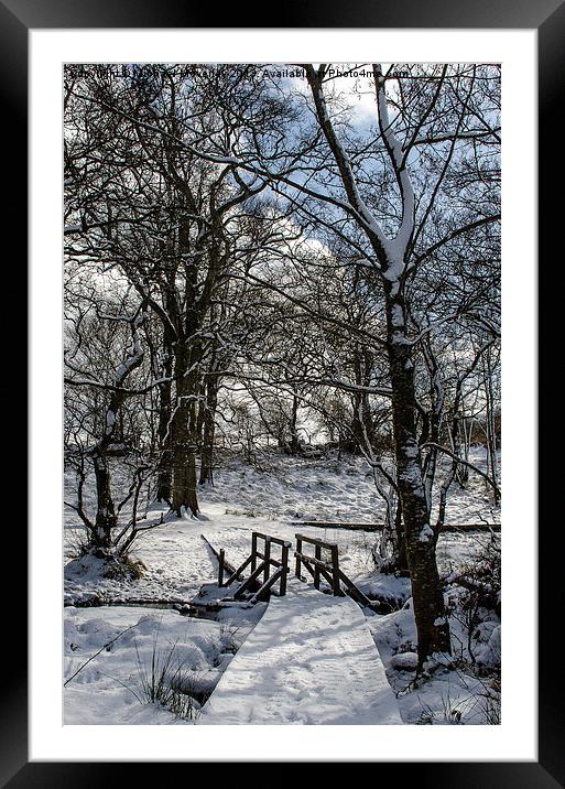 Snowy Bridge Framed Mounted Print by Michael Moverley
