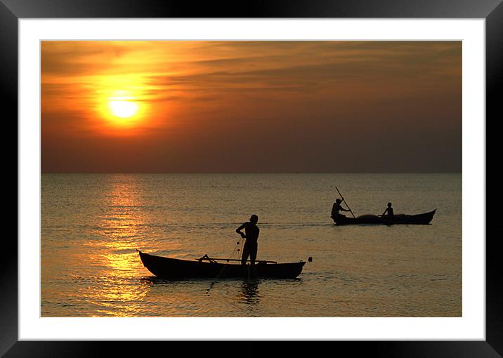 EVENING CATCH Framed Mounted Print by Mal Taylor Photography
