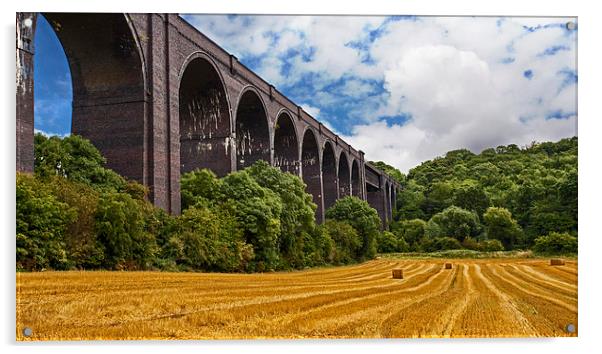 Conisbrough Viaduct Acrylic by John Biggadike
